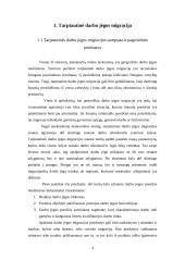 Darbo jėgos migracija 4 puslapis