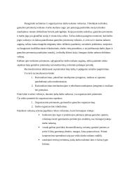 Darbo našumas ir darbo užmokestis 11 puslapis