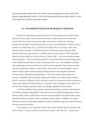 Darbo našumas ir darbo užmokestis 12 puslapis