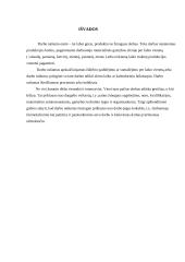 Darbo našumas ir darbo užmokestis 17 puslapis