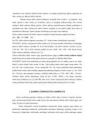 Darbo našumas ir darbo užmokestis 4 puslapis