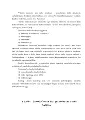 Darbo našumas ir darbo užmokestis 6 puslapis