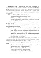 Darbo našumas ir darbo užmokestis 7 puslapis