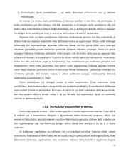 Darbo organizavimo gerinimas: gydymo skyriuje VšĮ "Druskininkų gydyklos" 13 puslapis