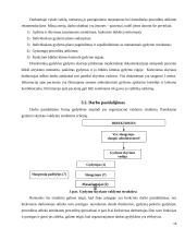 Darbo organizavimo gerinimas: gydymo skyriuje VšĮ "Druskininkų gydyklos" 18 puslapis