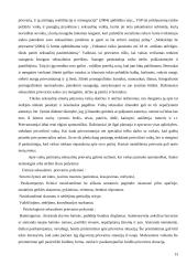 Smurto ir prievartos pasireiškimas tarp vyresnių klasių moksleivių (Vilkaviškio miesto vidurinių mokyklų tyrimo pagrindu) 13 puslapis