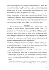 Smurto ir prievartos pasireiškimas tarp vyresnių klasių moksleivių (Vilkaviškio miesto vidurinių mokyklų tyrimo pagrindu) 19 puslapis