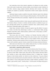 Darbo procesų tobulinimas: keleivių pervežimas UAB "Leilandas" 13 puslapis