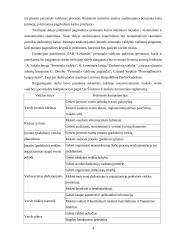 Darbo procesų tobulinimas: keleivių pervežimas UAB "Leilandas" 3 puslapis