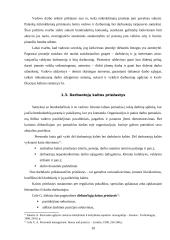 Darbo procesų tobulinimas: keleivių pervežimas UAB "Leilandas" 9 puslapis