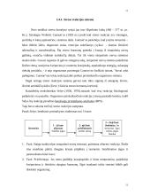 Studentų streso tyrimas: Vytauto Didžiojo Universitetas ir Kauno Medicinos Universitetas 11 puslapis