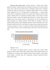 Darbo rinka Lietuvoje 11 puslapis