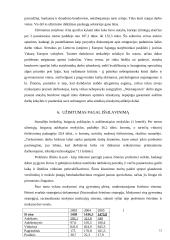 Darbo rinka Lietuvoje 15 puslapis