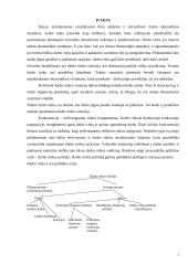 Darbo rinka Lietuvoje 3 puslapis