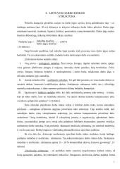 Darbo rinka Lietuvoje 7 puslapis