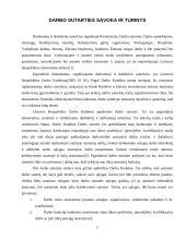 Darbo sutarčių rūšys remiantis darbo kodeksu 2 puslapis