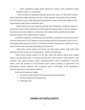 Darbo sutarčių rūšys remiantis darbo kodeksu 3 puslapis