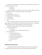 Darbo sutarčių rūšys remiantis darbo kodeksu 4 puslapis