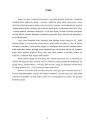 Darbo sutartis bei jos vykdymas 2 puslapis