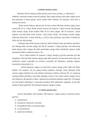 Darbo sutartis bei jos vykdymas 4 puslapis