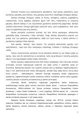 Darbo sutartis ir jos sudarymo mechanizmas 3 puslapis