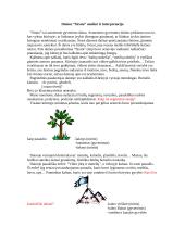 Dainos interpretacija: "Sirata"