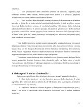 Darbo užmokesčio apskaitos organizavimas 13 puslapis