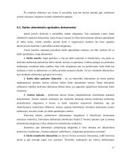 Darbo užmokesčio apskaitos organizavimas 17 puslapis