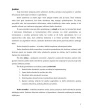 Darbo užmokesčio apskaitos organizavimas 3 puslapis