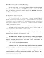 Darbo užmokesčio apskaitos organizavimas 5 puslapis