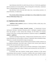 Darbo užmokesčio apskaitos organizavimas 7 puslapis