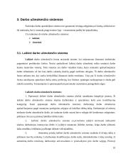 Darbo užmokesčio apskaitos organizavimas 10 puslapis