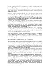 Kurto Levino teorija 5 puslapis