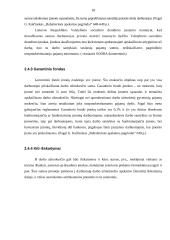 Darbo užmokesčio apskaita: IĮ "Smagratis" 18 puslapis