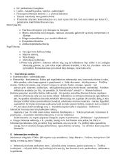 Mediologijos teorija 15 puslapis