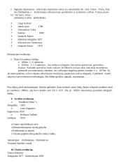 Mediologijos teorija 16 puslapis
