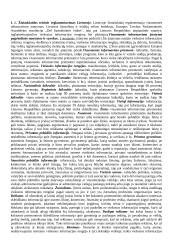 Mediologijos teorija 8 puslapis
