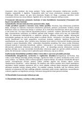 Mediologijos teorija 10 puslapis