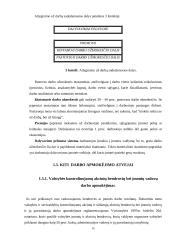 Darbo užmokesčio diferenciacija ir jos veiksniai 18 puslapis