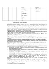 Narkotikai ir narkomanija 7 puslapis