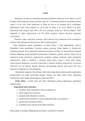 Darbo užmokesčio sistema 2 puslapis