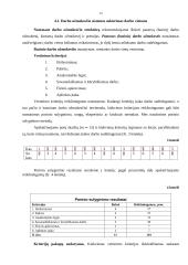Darbo užmokesčio sistema 11 puslapis