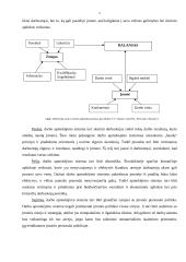 Darbo užmokesčio sistema 4 puslapis