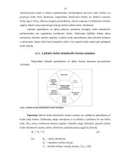 Darbo užmokestis: formos, veiksniai 14 puslapis