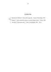 Darbo užmokestis: formos, veiksniai 18 puslapis