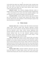 Darbo užmokestis: formos, veiksniai 8 puslapis