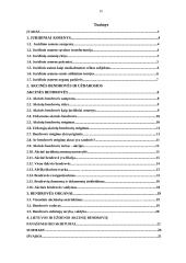 Akcinės bendrovės (AB) ir uždarosios akcinės bendrovės (UAB) kaip juridinis asmuo 2 puslapis