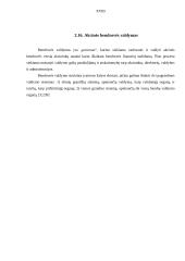 Akcinės bendrovės (AB) ir uždarosios akcinės bendrovės (UAB) kaip juridinis asmuo 18 puslapis