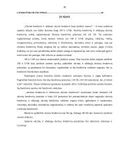 Akcinės bendrovės (AB) ir uždarosios akcinės bendrovės (UAB) kaip juridinis asmuo 3 puslapis