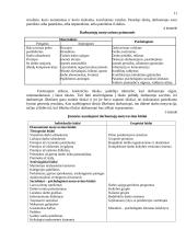 Darbuotojų motyvavimo modeliai 11 puslapis